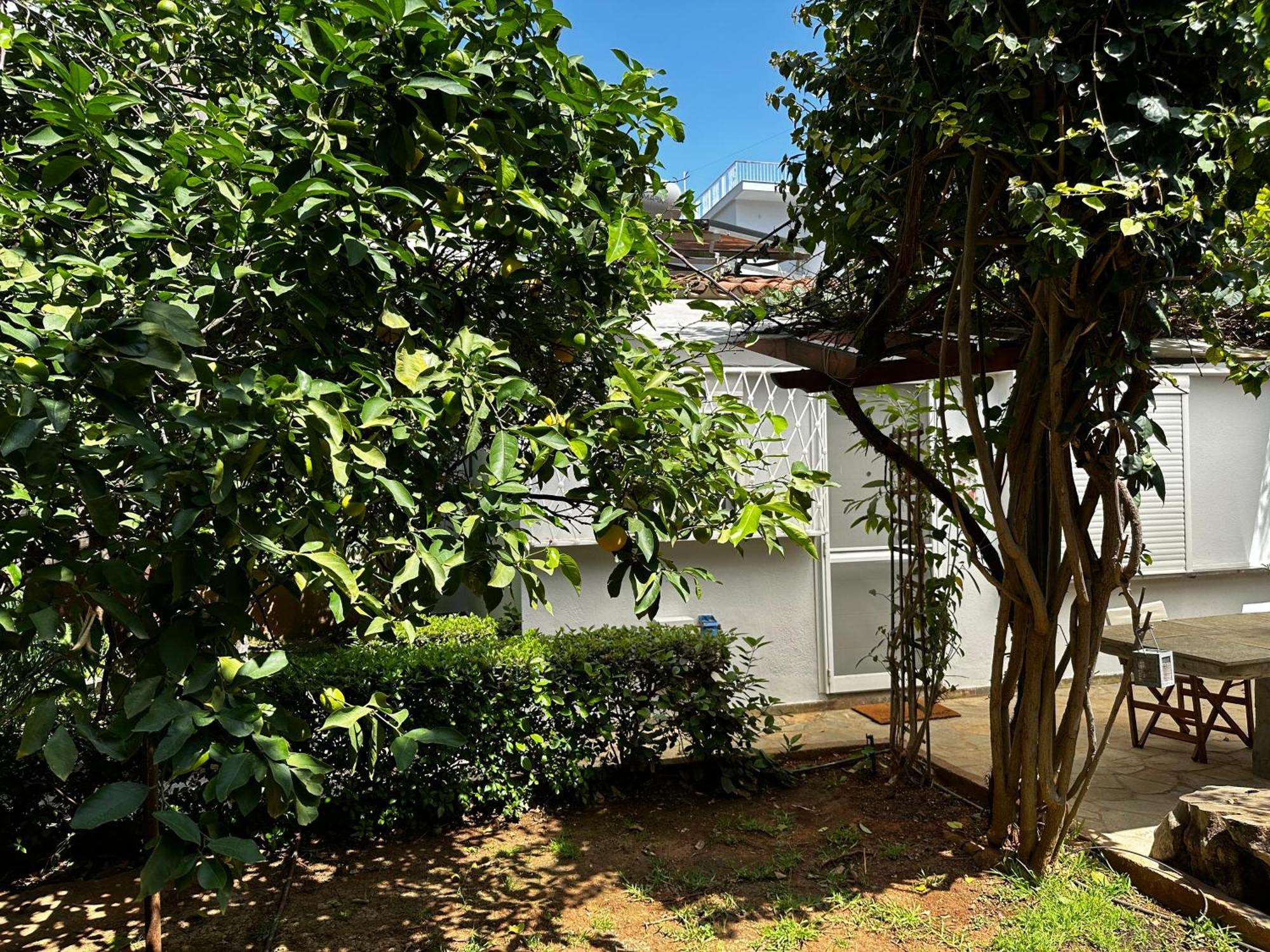 Antonis'S Garden House Apartamento Atenas Exterior foto